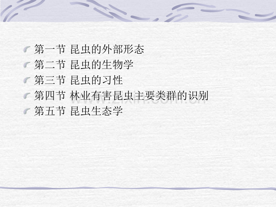 林业有害昆虫基础知识.pptx_第1页