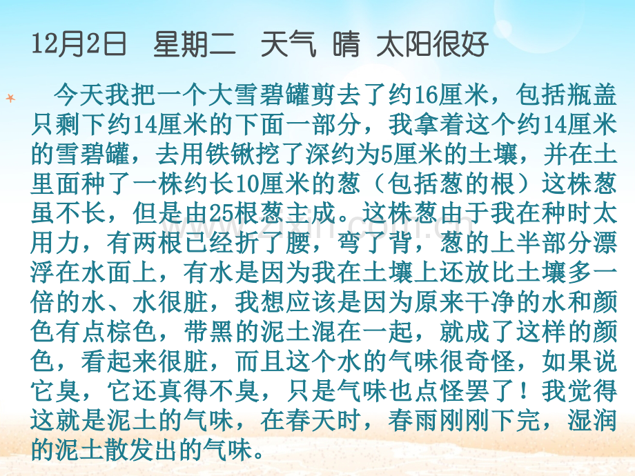 生态瓶的观察记录.pptx_第2页