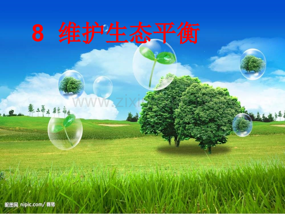 维护生态平衡.pptx_第1页