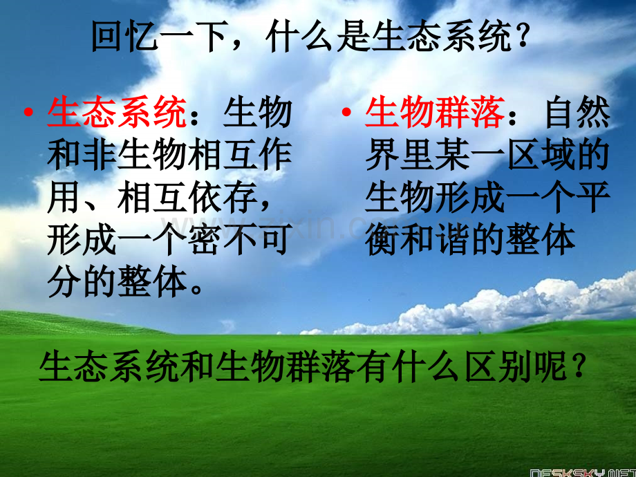 维护生态平衡.pptx_第2页
