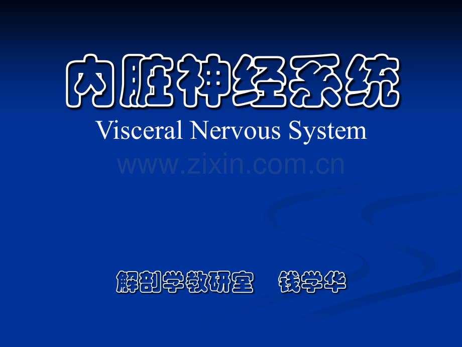 系统解剖——内脏神经.pptx_第1页