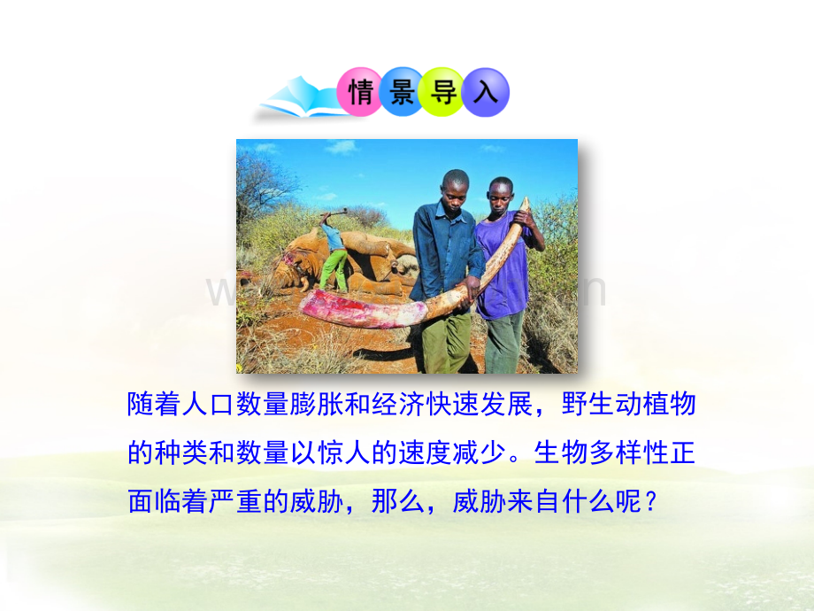苏教版八上生物生物多样性及其保护保护生物多样性的艰巨使命优教.pptx_第2页