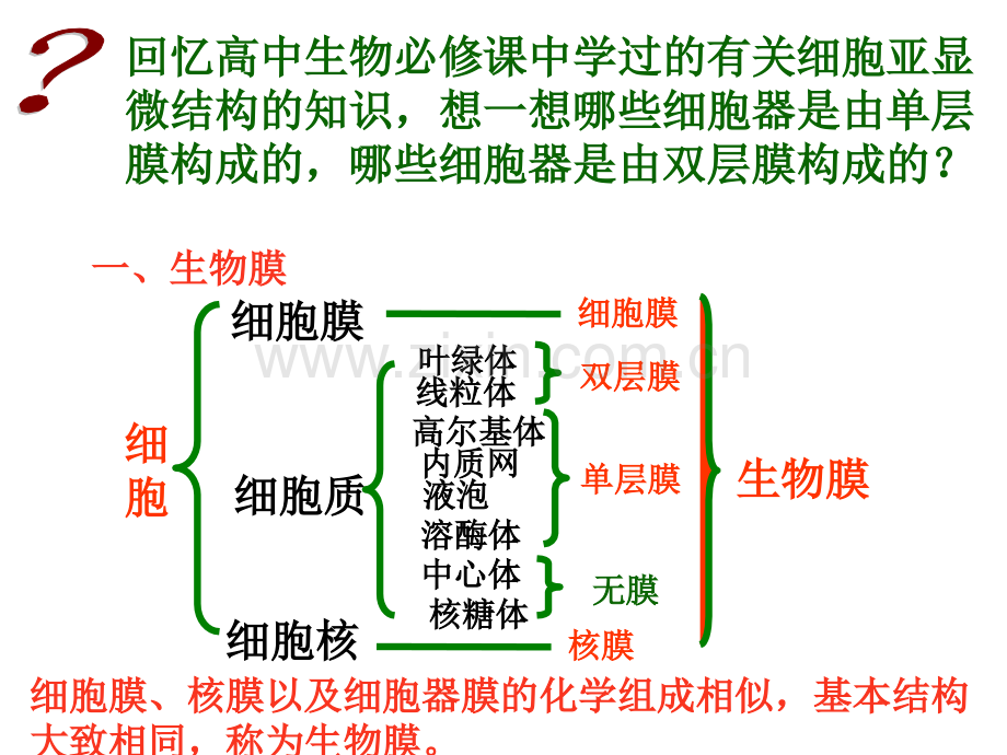 细胞生物学细胞的生物膜系统.pptx_第2页