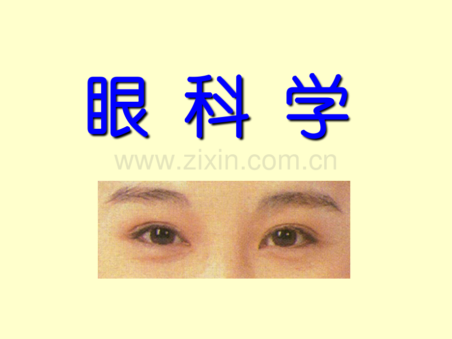 眼部解剖结构.pptx_第1页