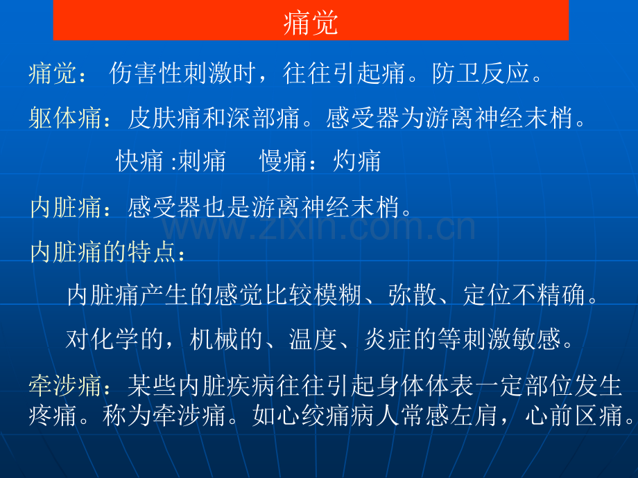 神经系统生理.pptx_第2页