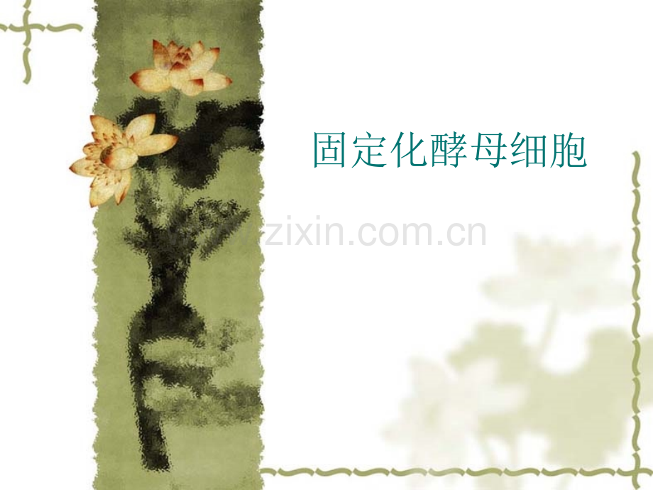 固定化酵母细胞.pptx_第1页