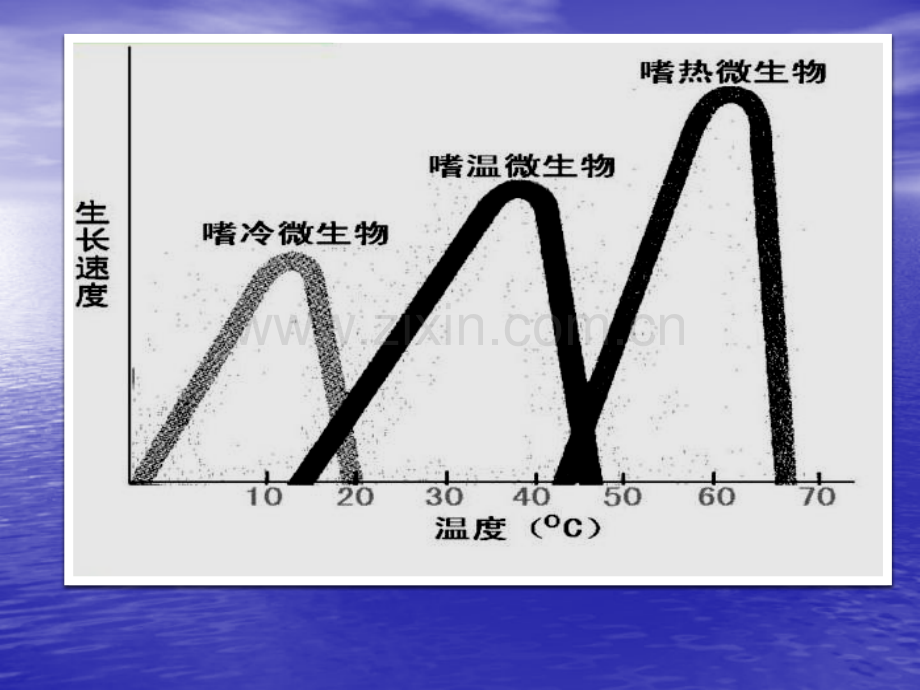 微生物的生长及其控制2微生物学教程.pptx_第2页