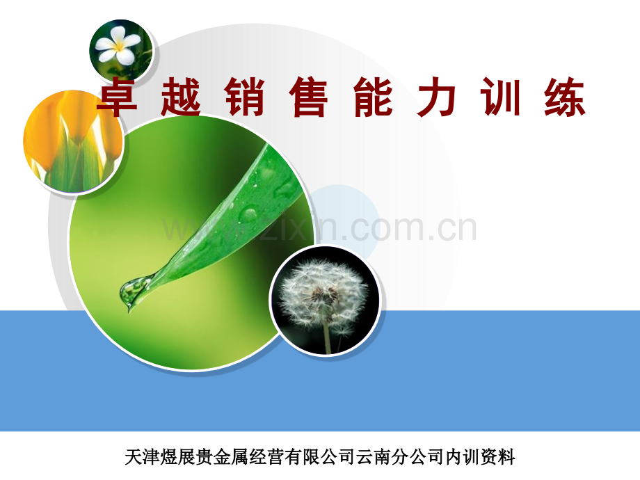 卓越销售能力.pptx_第1页