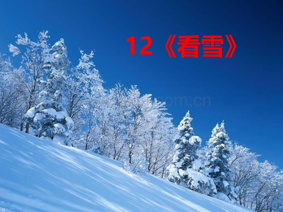 小学2年级课文看雪.pptx_第2页