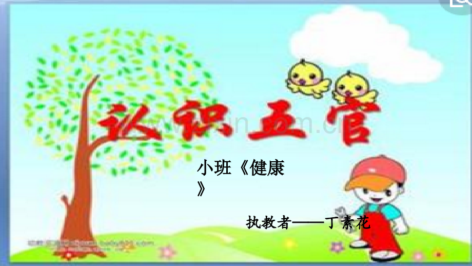 小班健康认识五官幼儿教育.pptx_第1页