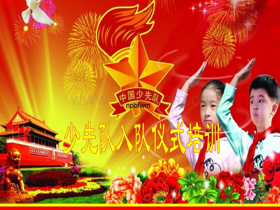 少先队入队仪式培训.pptx_第1页