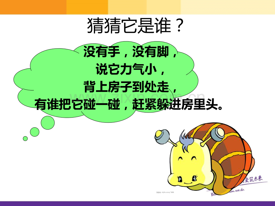 我和动物交朋友.pptx_第2页