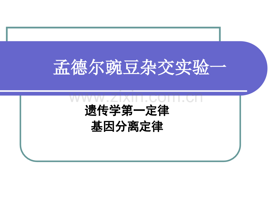 孟德尔豌豆杂交实验一人民版.pptx_第2页