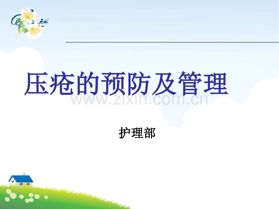压疮的预防和管理概要.pptx_第1页