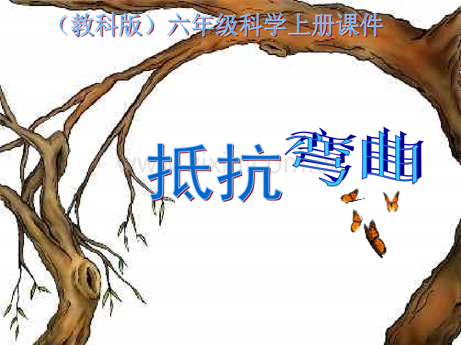 教科版六级科学上册抵抗弯曲5.pptx_第1页