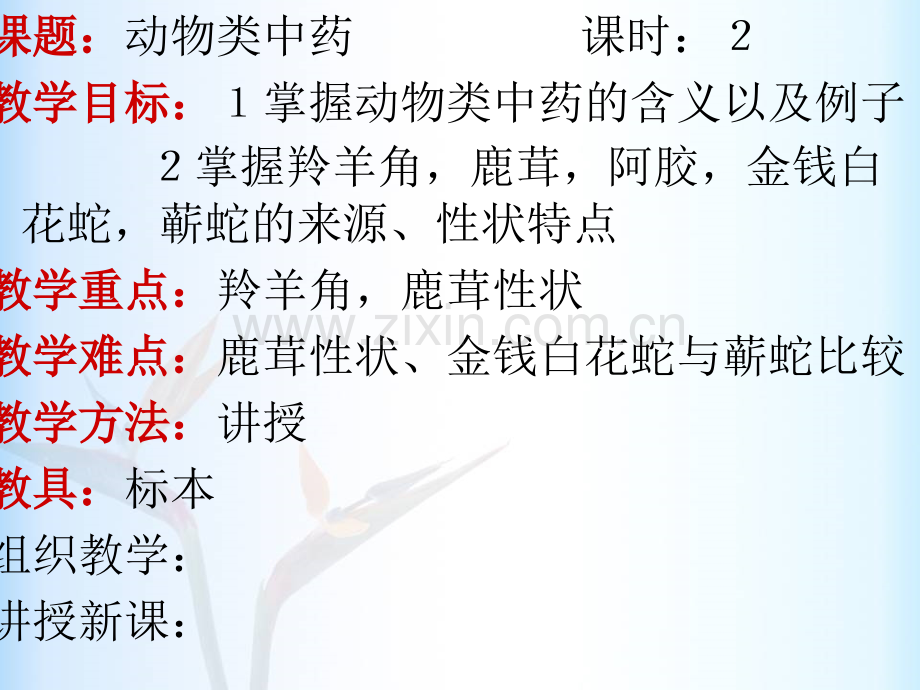半透明棕黄色.pptx_第2页