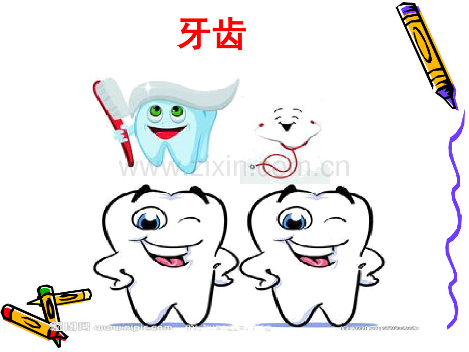 大班科学活动我的牙齿.pptx_第2页