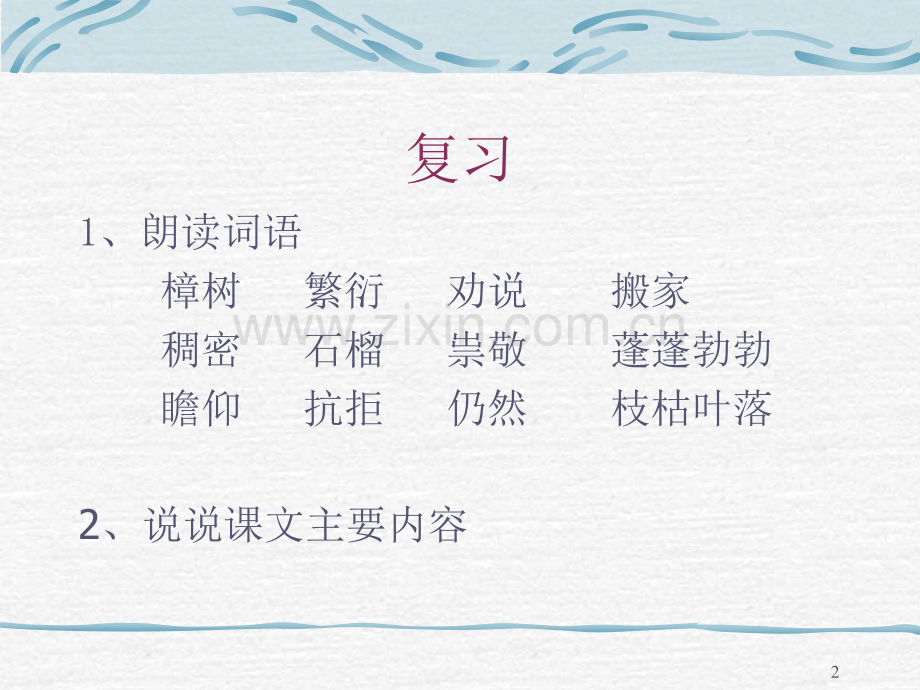 宋庆龄故居的樟树8.pptx_第2页