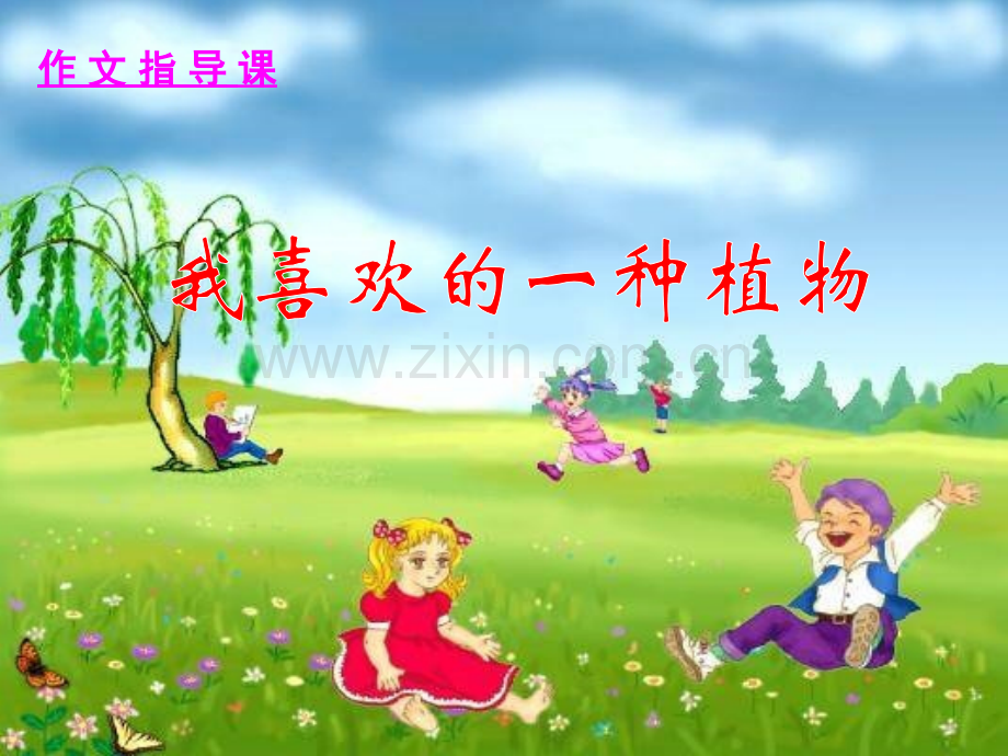 我喜欢的一种植物作文课件1.pptx_第1页