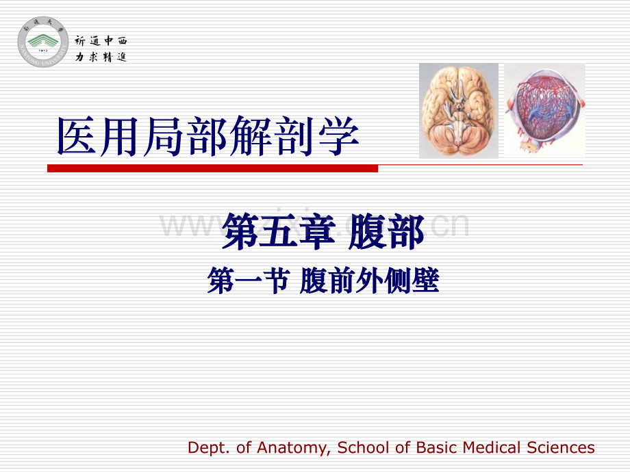 医用局部解剖学-腹前外侧壁.pptx_第1页