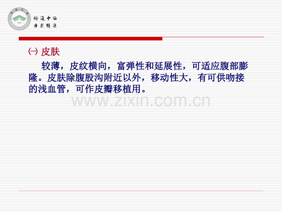 医用局部解剖学-腹前外侧壁.pptx_第2页