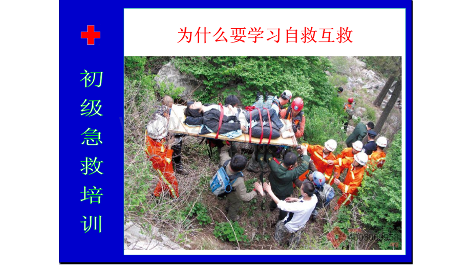 应急救护技能培训.pptx_第2页
