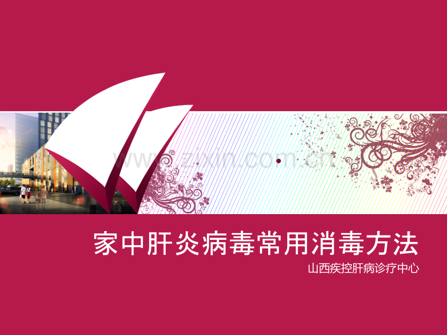 家中肝炎病毒常用消毒方法.pptx_第1页