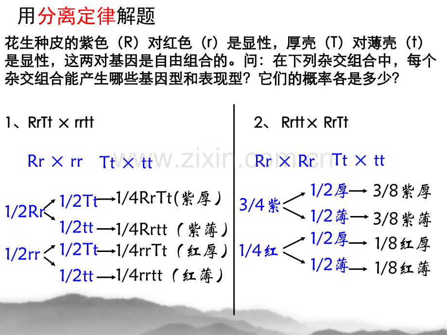 孟德尔豌豆杂交实验二时.pptx_第2页
