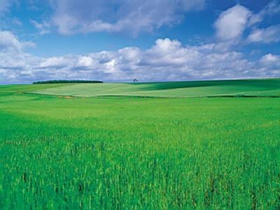 公开课敕勒歌.pptx_第2页