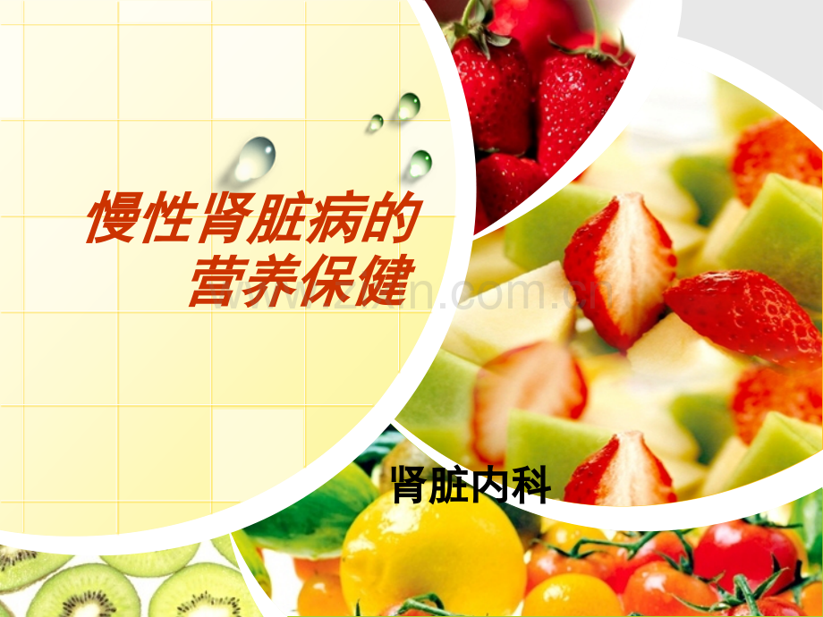 慢性肾脏病的营养疗法.pptx_第1页