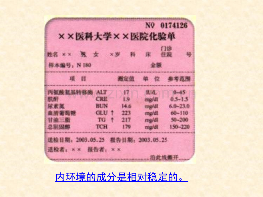 内环境稳态的重要意义.pptx_第2页