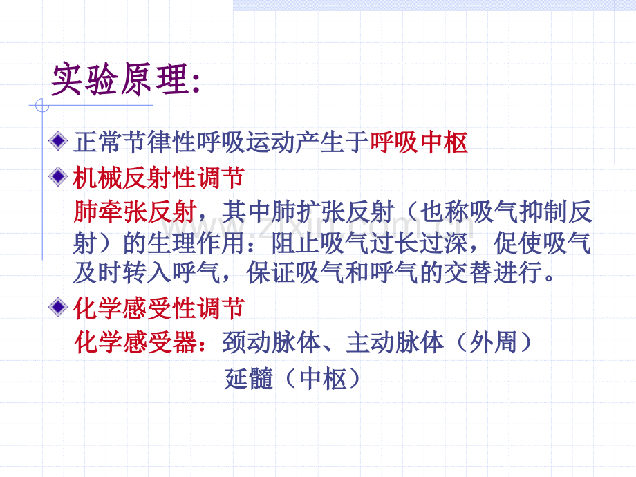 家兔呼吸运动调.pptx_第2页