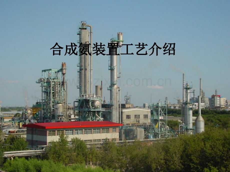 国内典型合成氨装置工艺介绍.pptx_第1页