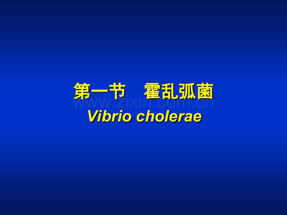 微生物学弧菌属.pptx_第2页