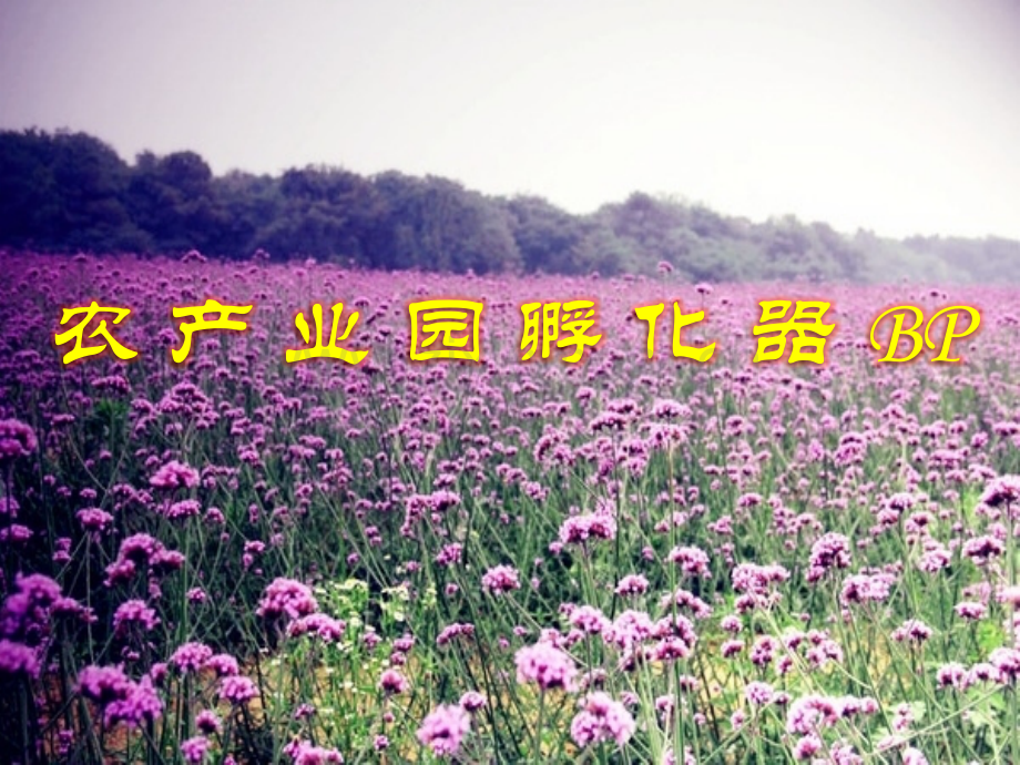 农产业园孵化器.pptx_第1页