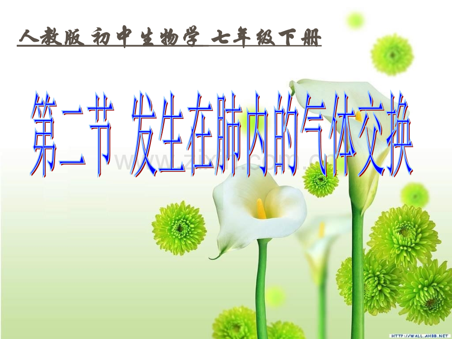初中生物学七年级下册发生在肺内气体交换.pptx_第1页