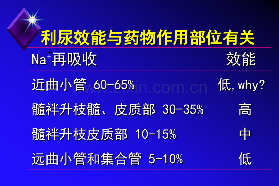 备用利尿药.pptx_第2页