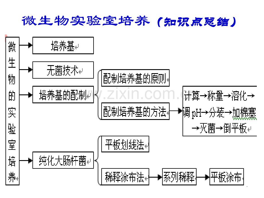 微生物的实验室培养课件选修1.pptx_第1页