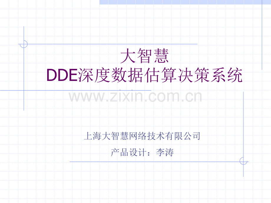 大智慧DDE产品使用说明书.pptx_第1页