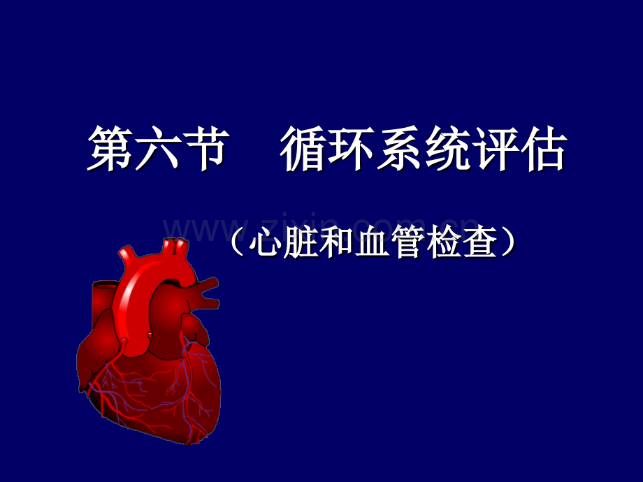 循环系统评估.pptx_第1页