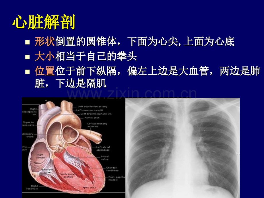 循环系统评估.pptx_第2页