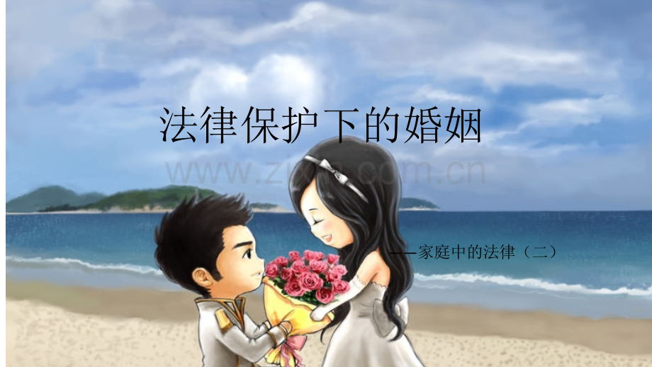 家庭中的法律二.pptx_第1页