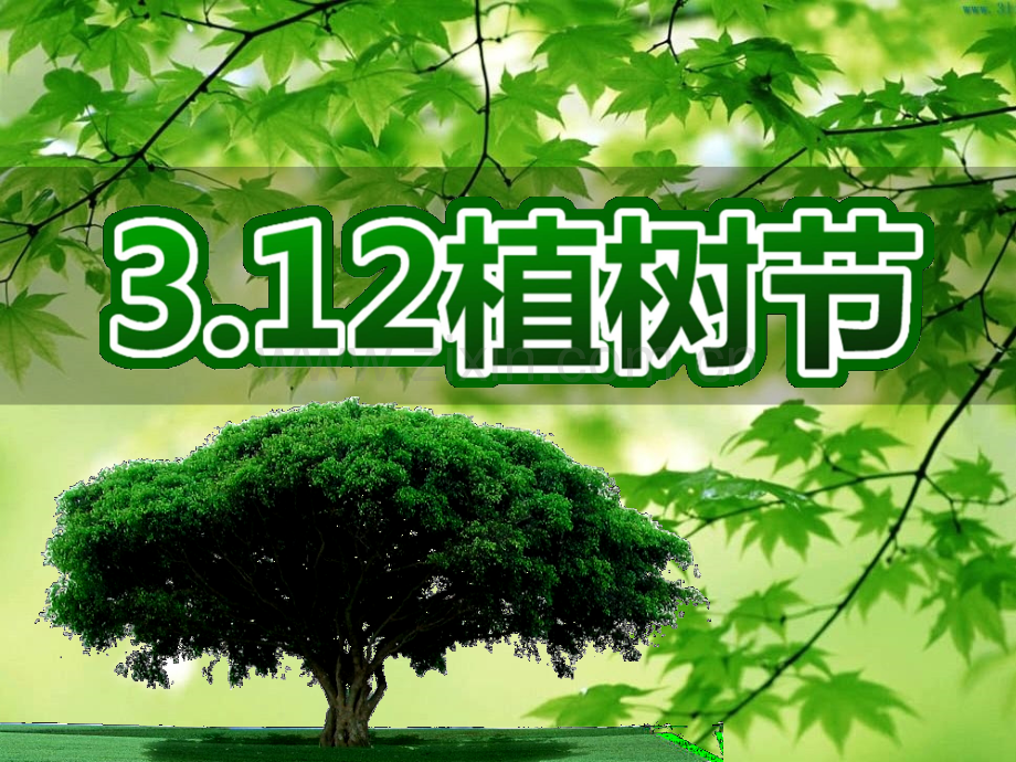 幼儿园植树节.pptx_第1页