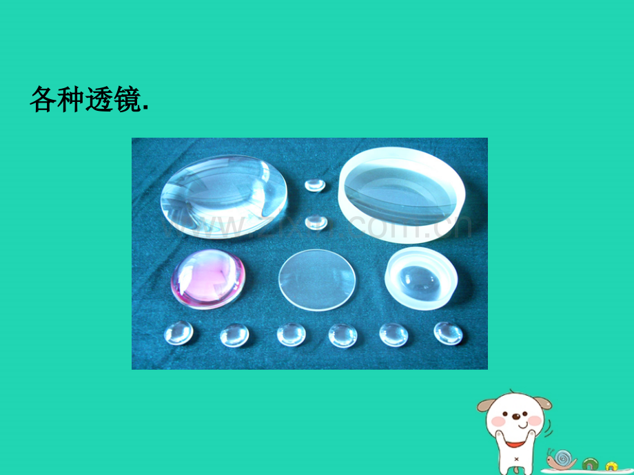 八年级物理全册45科学探究凸透镜成像新版沪科版.pptx_第2页