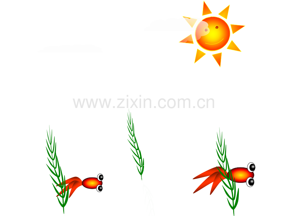 八年级上册生物鱼.pptx_第1页