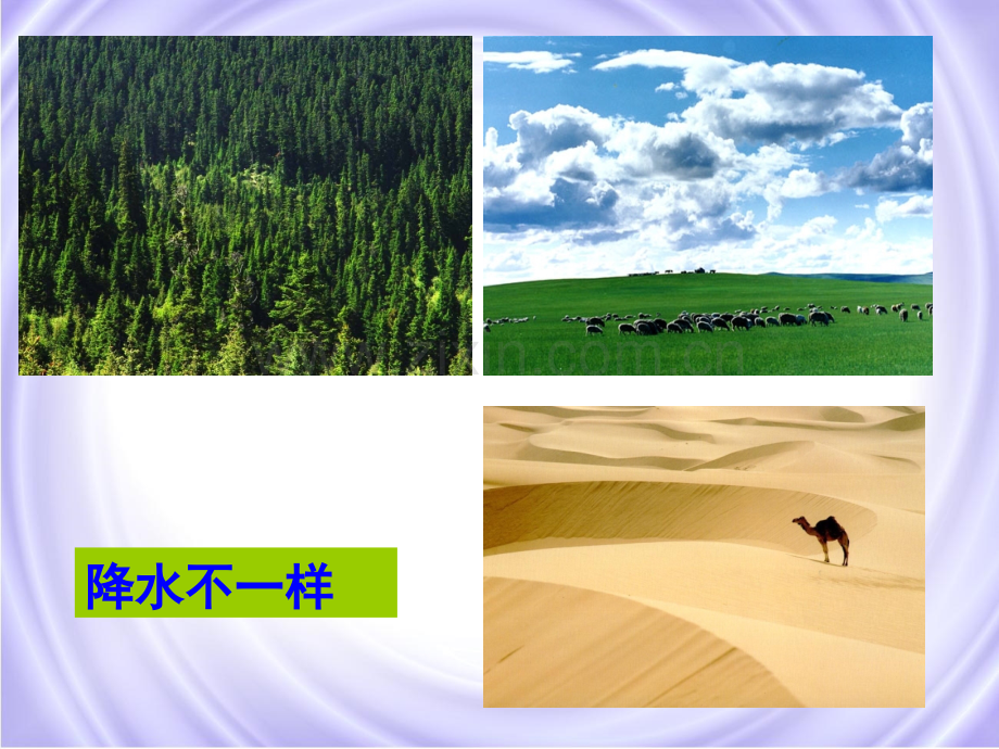 初一理化生初一地理上册世界气候.pptx_第2页