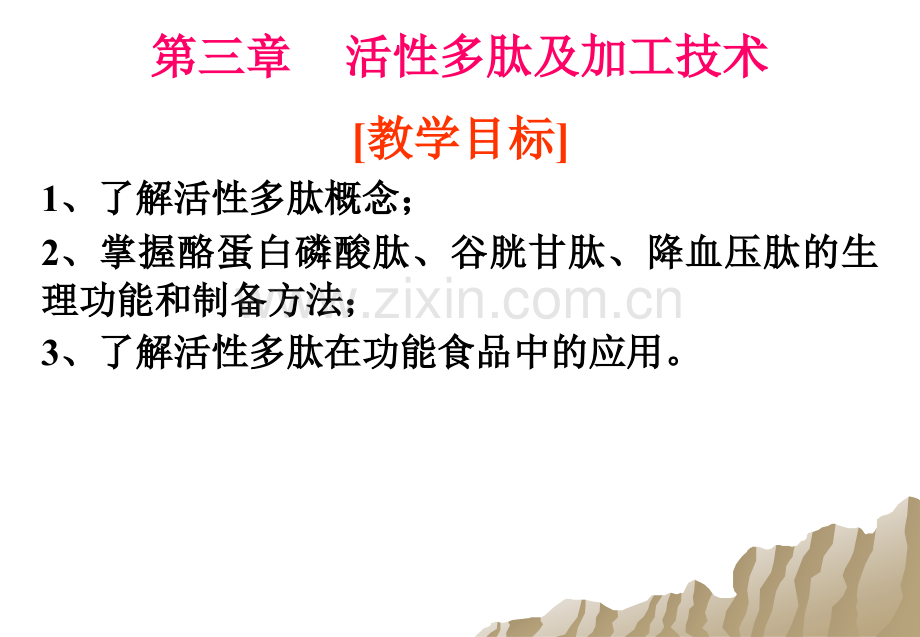 文献资料.pptx_第1页