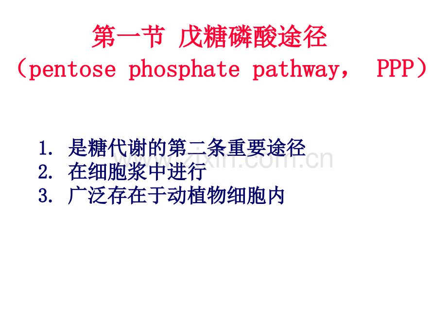 戊糖磷酸途径和糖原合成与分解.pptx_第1页
