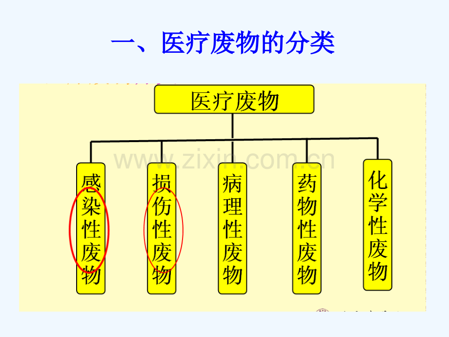医疗废物管理处置.pptx_第2页