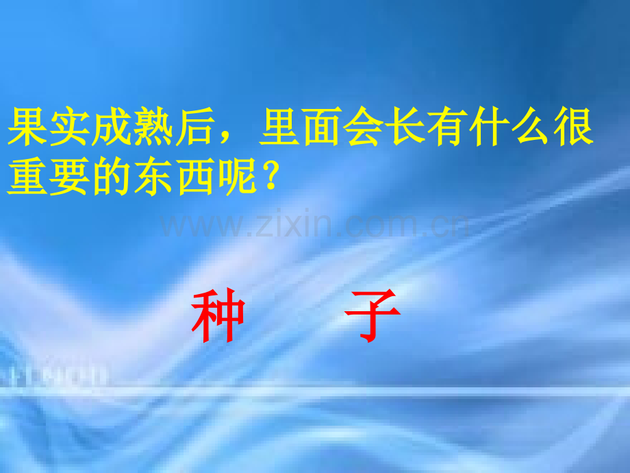 把种子散播到远处.pptx_第2页